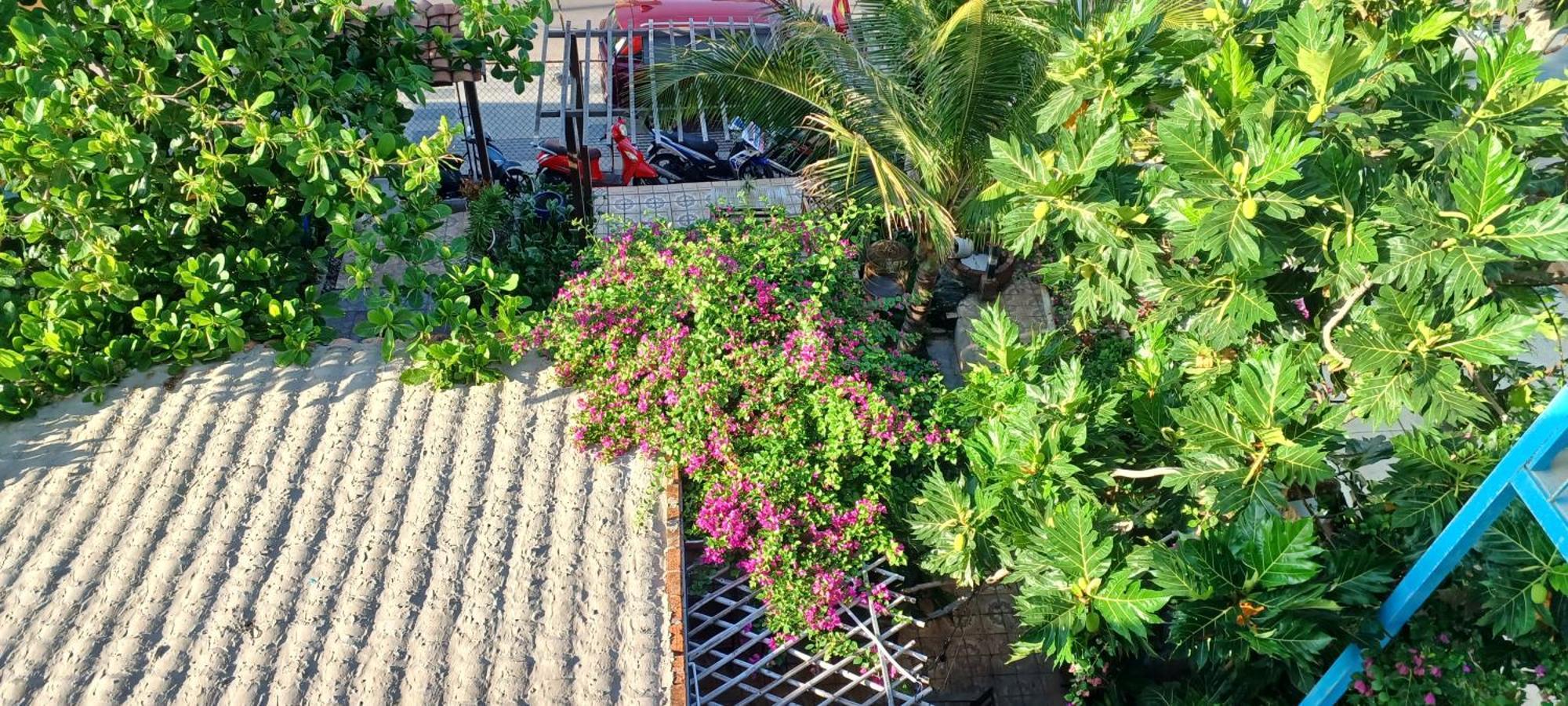 Maidi Homestay מואי נה מראה חיצוני תמונה